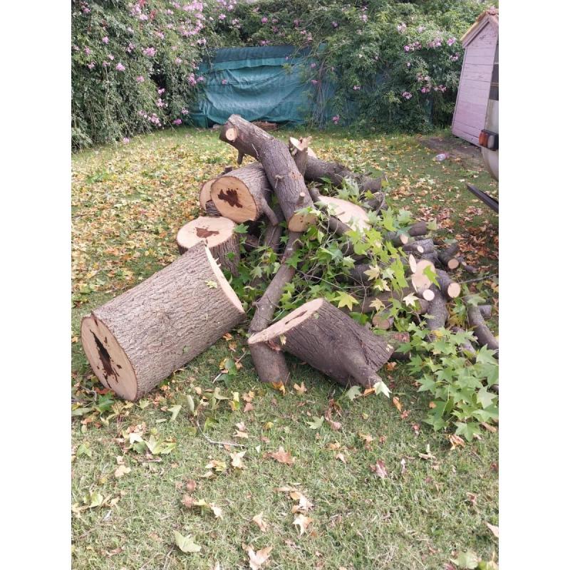 LeÑa para hogar - 2