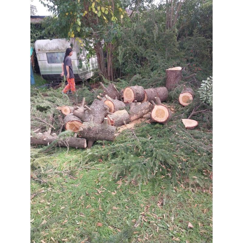 LeÑa para hogar - 3
