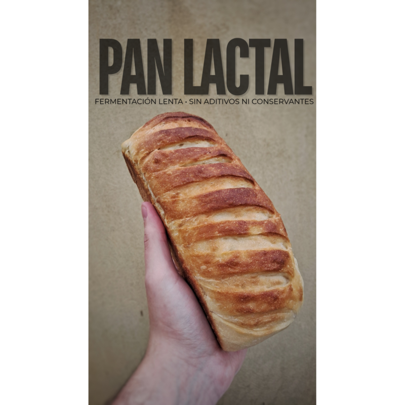Pan tipo lactal de más de medio kilo