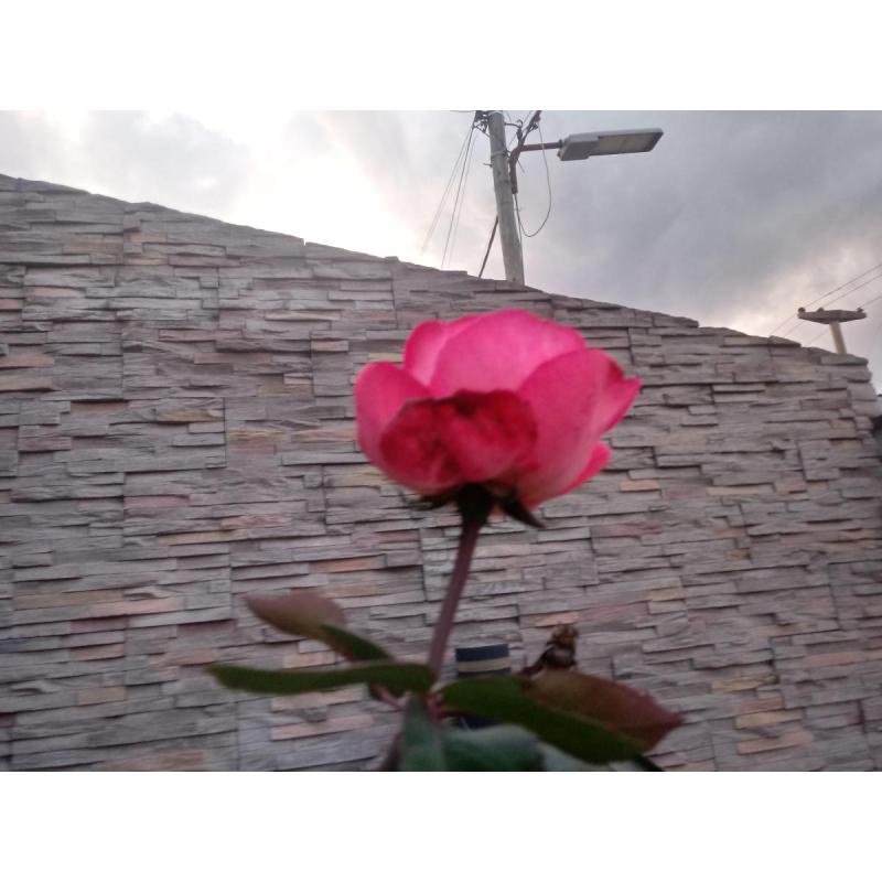 Vendo financio con sistema saldo de precio hermosa y super segura casa. - 17