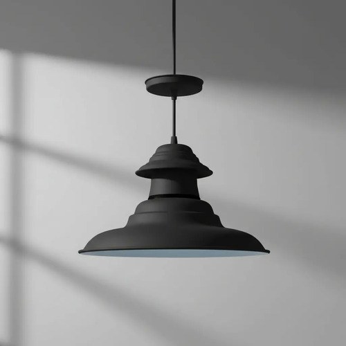 Lámpara Galponera Industrial Negra De Chapa Para Techo Negro - 2