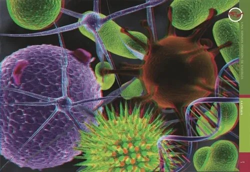 Libro Guía Visual Biología Y Medio Ambiente · Láminas 3 D - 2