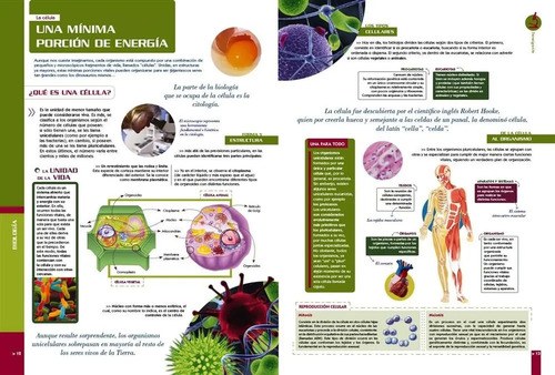 Libro Guía Visual Biología Y Medio Ambiente · Láminas 3 D - 3