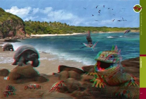 Libro Guía Visual Biología Y Medio Ambiente · Láminas 3 D - 4