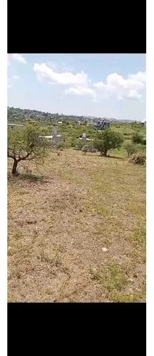 Vendo Hermoso Terreno Estancia Vieja Excelente Oportunidad - 3