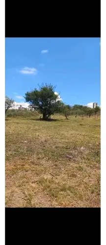 Vendo Hermoso Terreno Estancia Vieja Excelente Oportunidad - 5