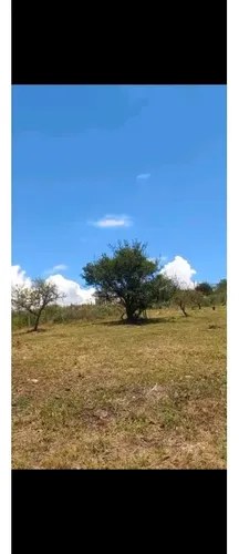 Vendo Hermoso Terreno Estancia Vieja Excelente Oportunidad - 6