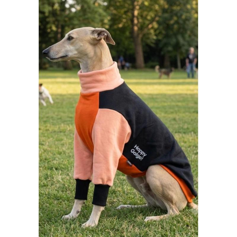 Ropa de diseño para galgos