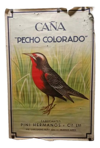 Afiche Antiguo Publicitario Caña Pecho Colorado Original
