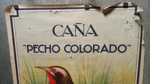 Afiche Antiguo Publicitario Caña Pecho Colorado Original - 2