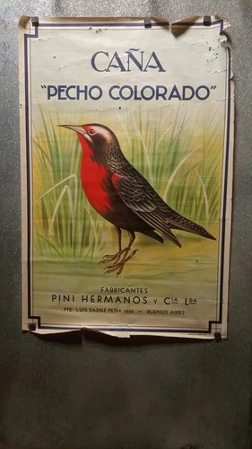 Afiche Antiguo Publicitario Caña Pecho Colorado Original - 9