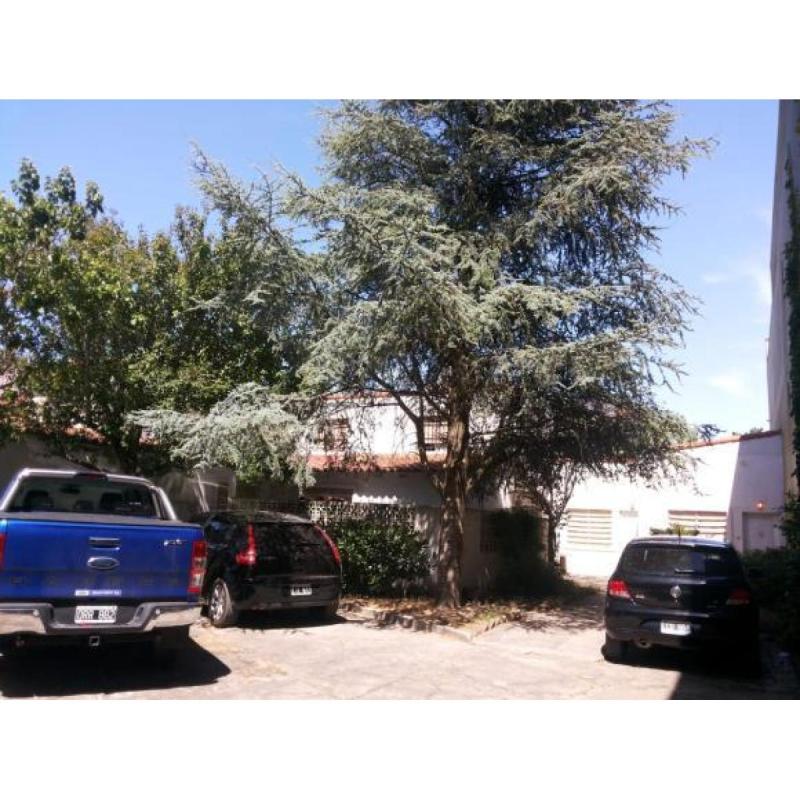 Duplex 4 cuadras mar - 9